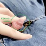 Eine kleine Schule des Leckens und Fickens